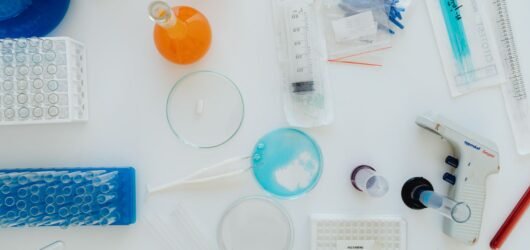 A Jornada Secreta: O Que Torna um Produto de Beleza Verdadeiramente Icônico e Duradouro