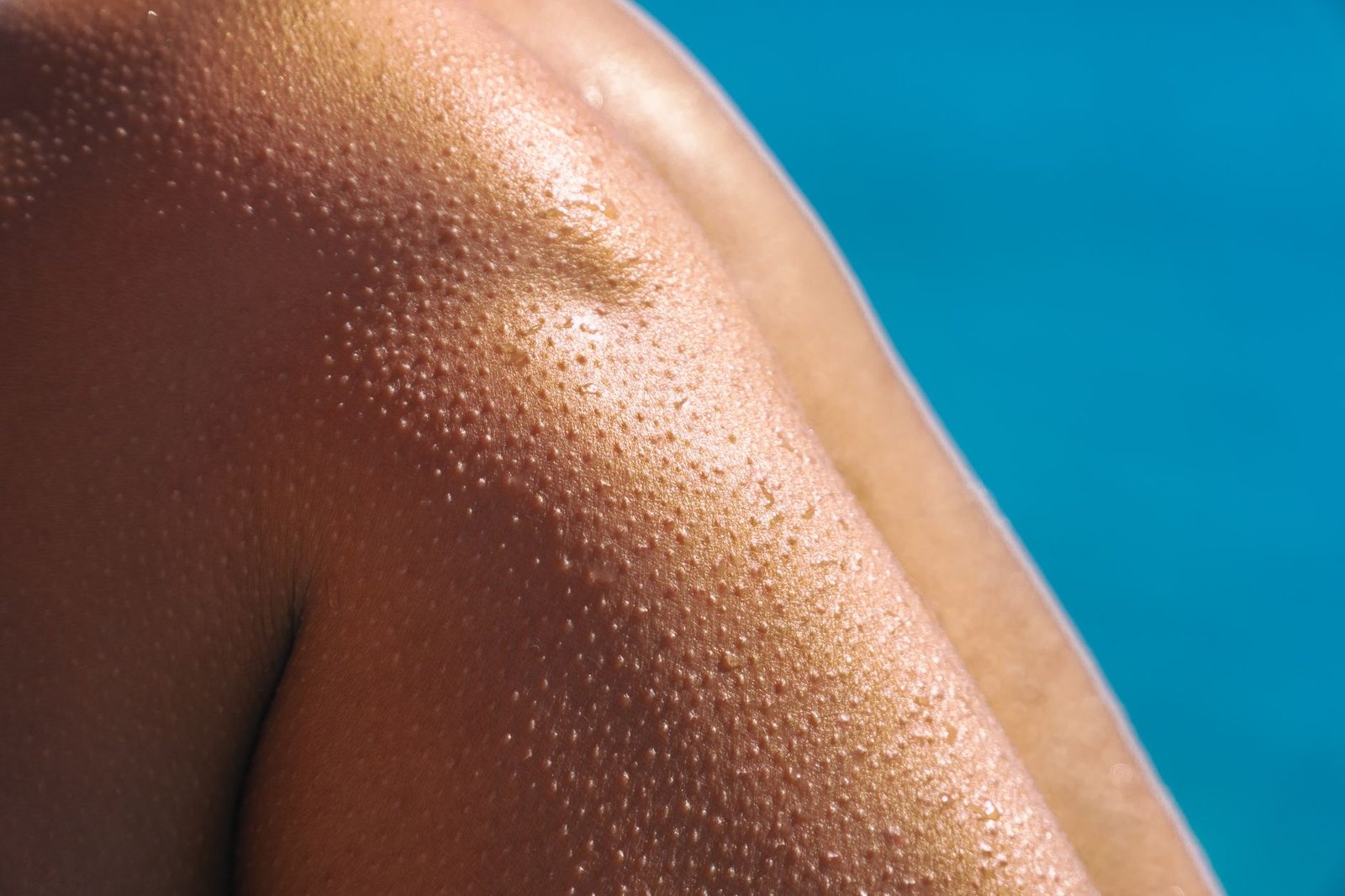 Morcegos e a Prevenção de Pandemias: Uma Nova Fronteira para a Dermatologia e Bem-Estar